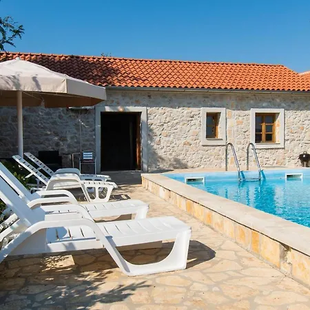 House Stone Curlew 2 Lisane Tinjske