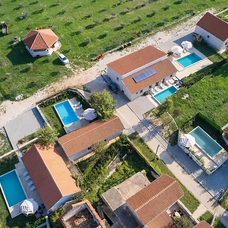 House Stone Curlew 2