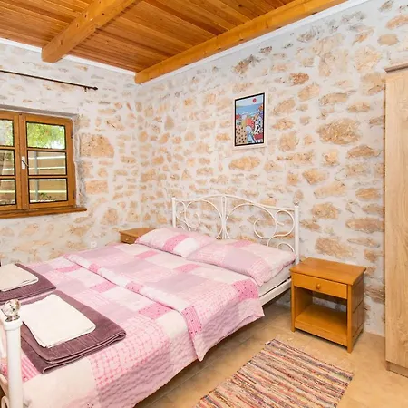 House Stone Curlew 2 * Lisane Tinjske