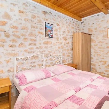 House Stone Curlew 2 Lisane Tinjske