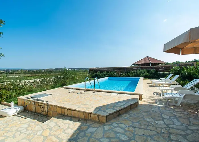 House Stone Curlew 2 *