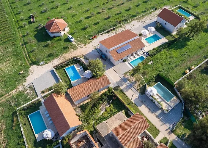 House Stone Curlew 2