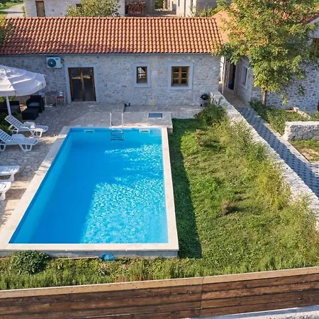 House Stone Curlew 2