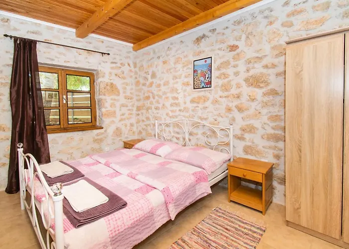 House Stone Curlew 2 * Lisane Tinjske